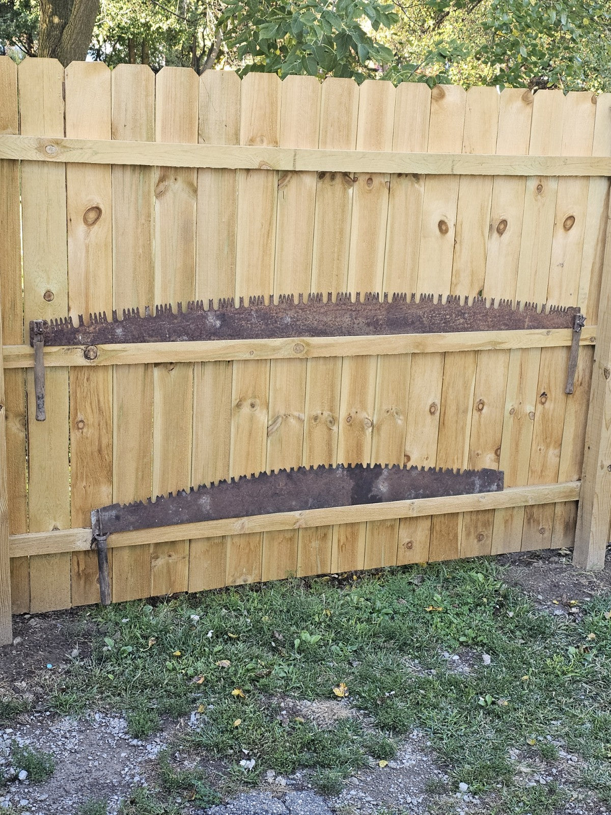 Vintage Barn Primitive 2 Two Man Crosscut Logging Saw 84" Blade Log Tool