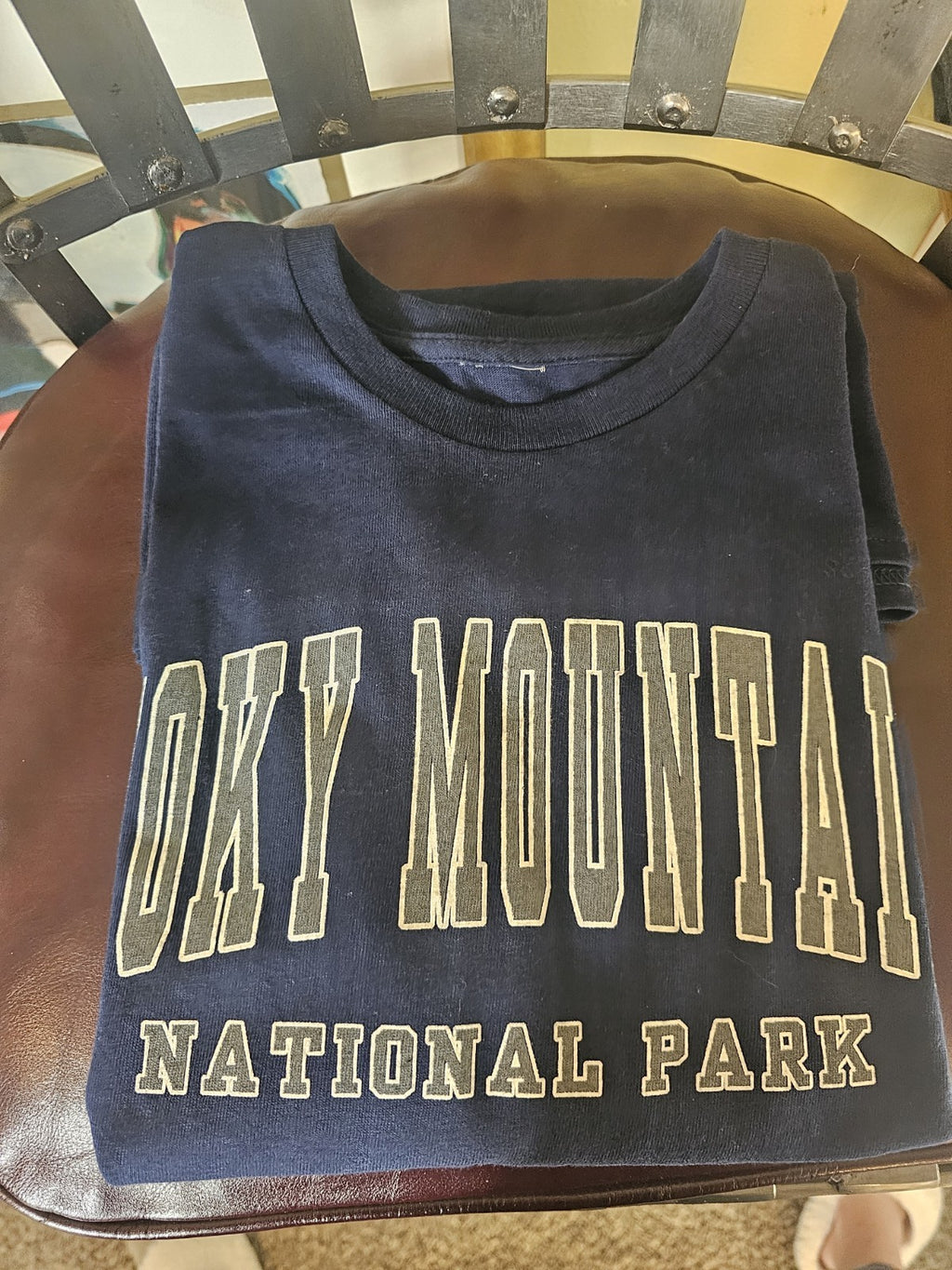 Navy Blue T Shirt Unisex New L Smoky Mountains