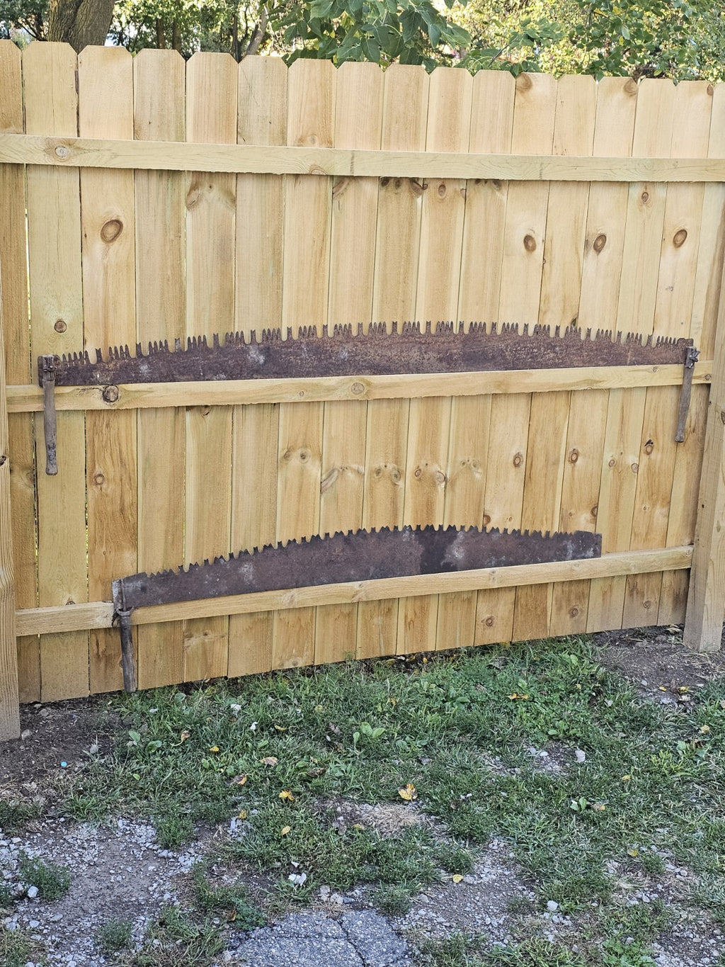 Vintage 66-inch Vintage 2 Cross Cut or Farm Tool 1 Handle missing